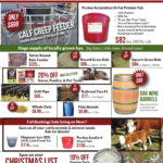 IF-Mailer-Dec.2018-8.5×11-2